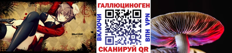 Псилоцибиновые грибы Psilocybine cubensis  Тулун 