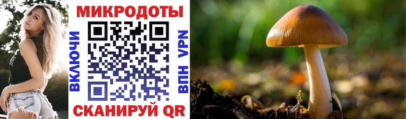 Псилоцибиновые грибы Cubensis Тулун